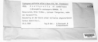 Image Associated With the Occurence